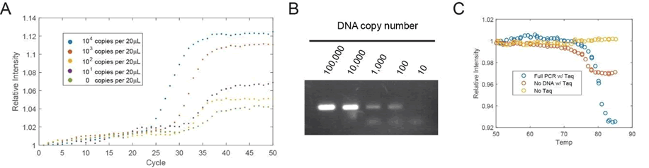 UV Monitoring of DNA amplification